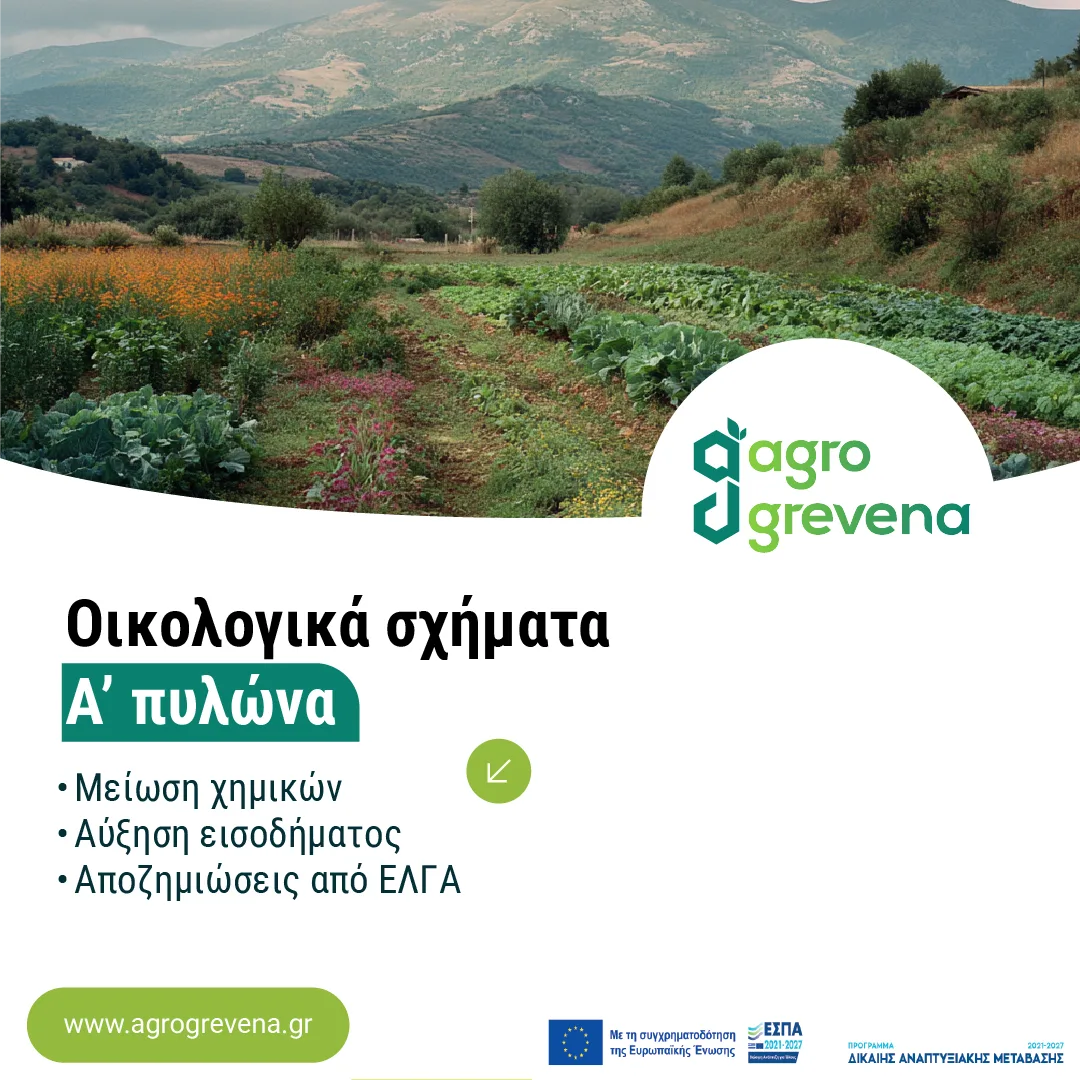 Ανάρτηση για τα οικολογικά σχήματα